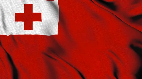 Flag of Tonga with red cross on white field Stock Footage 314678003