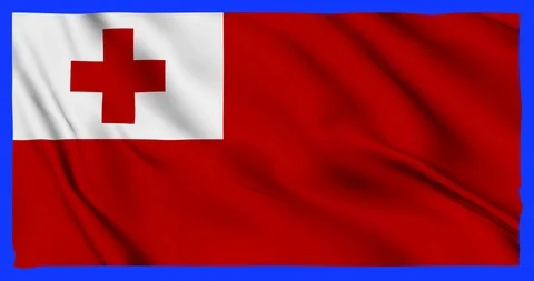 Flag of tonga waving on a samless loop over an easily removable background Stock Footage 98372968