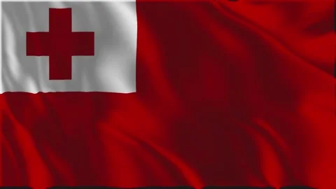 Flag of Tonga waving slowly Stock-Footage 339247022