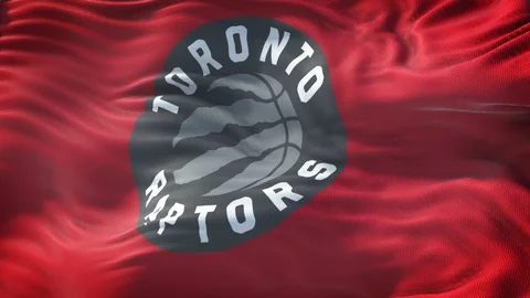 Flag of Toronto Raptors Loop Видео 109447708