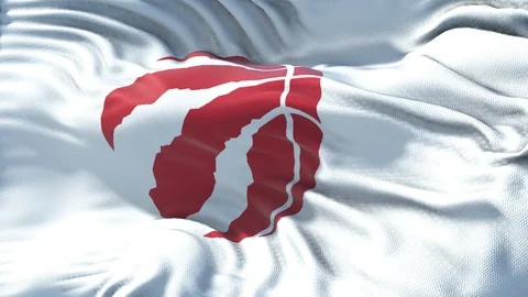 Flag of Toronto Raptors Loop Stock Footage 109447864
