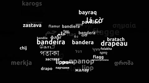 Flag Translated in 64 Worldwide Languages Endless Looping 3d Zooming Wordclou Stock Footage 145211193