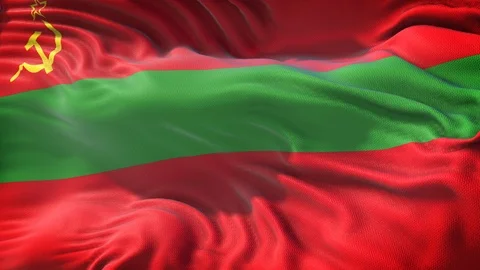 Flag of Transnistria Loop Video stock 104312266