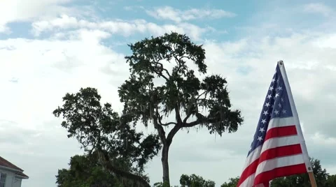 Flag Tree and Sky Stock Footage 52639232