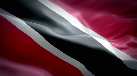 Flag of Trinidade e Tobago 스톡 동영상 47626957