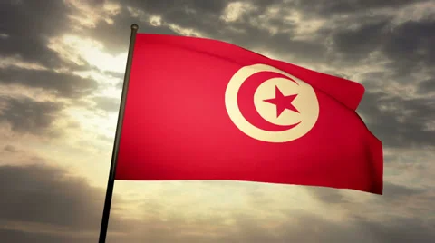 Flag Tunisia 03 Stock Footage 27417308
