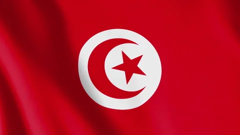 Flag of Tunisia Background Video Loop Stock Footage 329061474