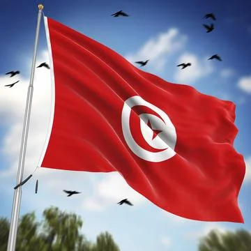 Flag of Tunisia, This is a computer generated and 3d rendered image Stock Illustration