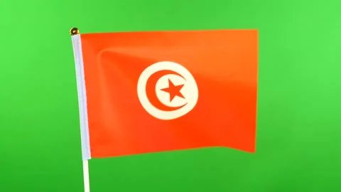 Flag of Tunisia on flagpole on green background. Tunisian Flag waving in wind. Stock Footage 143691059