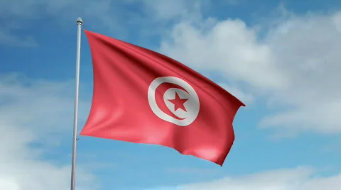 Flag of Tunisia 스톡 동영상 444914