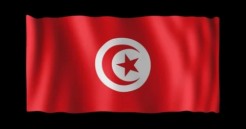 Flag of Tunisia 動画素材 86554122