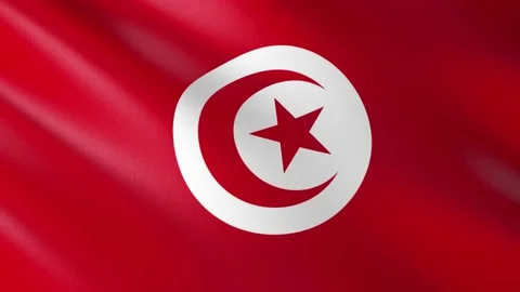 Flag of Tunisia Stock Footage 151676355