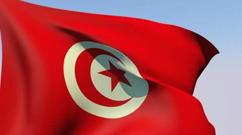 Flag of Tunisia HD 스톡 동영상 14818802