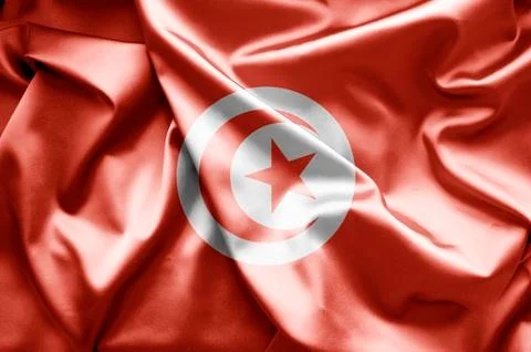Flag of tunisia Stock Illustration