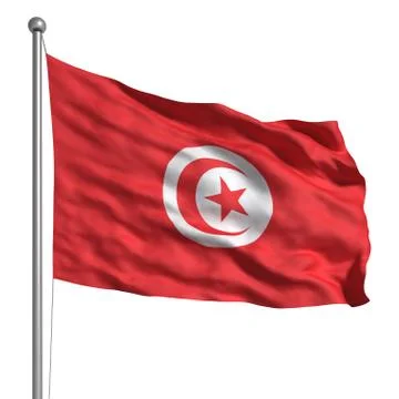 Flag of tunisia Stock Illustration