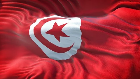 Flag of Tunisia Loop Stock Footage 104312592