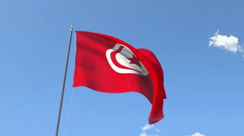 The flag of Tunisia Waving on the Wind. Stock Footage 50557479