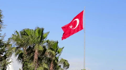 Flag of Turkey and palm trees Stock Footage 49347216