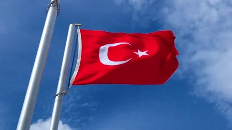 Flag of Turkey on flagpole flutters in wind against sky 스톡 동영상 313884693