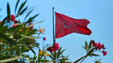 Flag of Turkey with flowers. Stock Footage 80211937