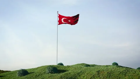 Flag of Turkey Stock-Footage 168274252