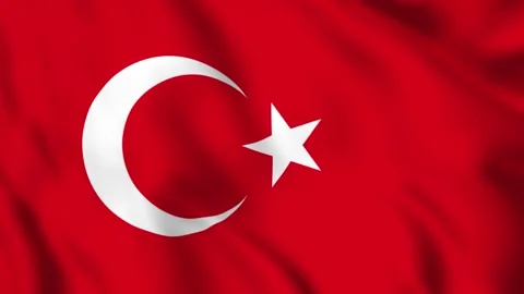 Flag of Turkey Waving in the Wind - Looping Animation Stock-Footage 246827043