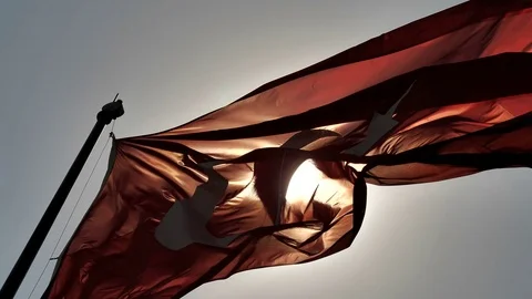 Flag of Turkey in the wind. Stock Footage 80369354