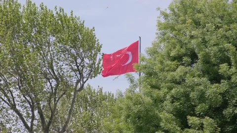 Flag of Turkey in the wind Stock Footage 194919614