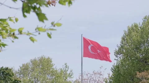 Flag of Turkey in the wind Stock Footage 194920100