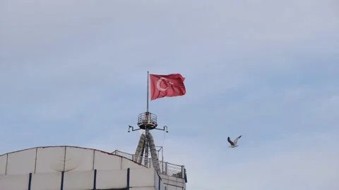 Flag of Turkey in the wind Video stock 194924546