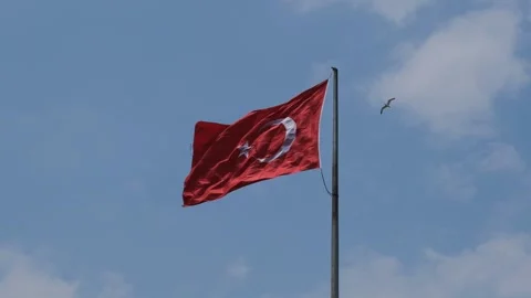 Flag of Turkey in the wind Stockbeeldmateriaal 194930182