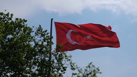Flag of Turkey in the wind Stock Footage 195191964