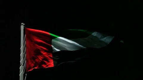 Flag of the UAE at night Stock-Footage 70532851