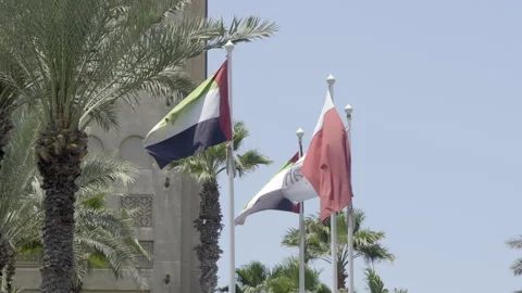 Flag of UAE with palm trees. Vídeos de archivo 245448774
