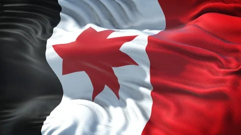 Flag of Udmurtia Loop Stock Footage 104313009