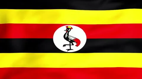Flag Of Uganda Stock-Footage 11355986