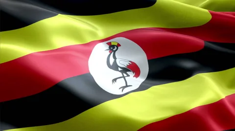 Flag Uganda Video stock 47783909