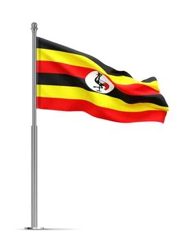 Flag of Uganda isolated on white background Stock Illustration
