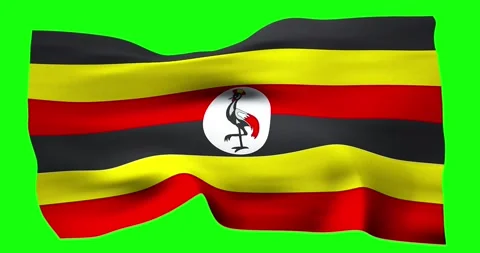 Flag of Uganda realistic waving on green screen. Seamless loop animation wi.. Stock Footage 280998002
