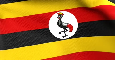 Flag of Uganda Waving 3D Animation Close up, 4K UHD 60 FPS Stock Footage 165516596