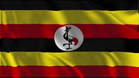 Flag of Uganda waving slowly Stock-Footage 338252358