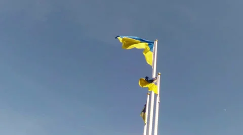 The flag of Ukraine on the background of the sky Stock Footage 37857034