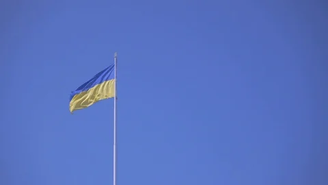 Flag of Ukraine developing in the wind against a blue sky Stock Footage 114975064