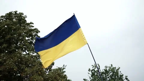The flag of ukraine develops in the wind against a blue sky Stock Footage 151157403