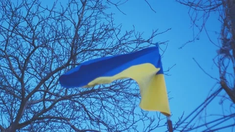 The flag of Ukraine develops in the wind against the background of the blue sky Video stock 235676334