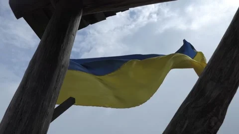 The flag of Ukraine develops in the wind Video stock 196574201