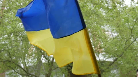 The flag of ukraine develops in the wind on the street in spring 動画素材 195283463