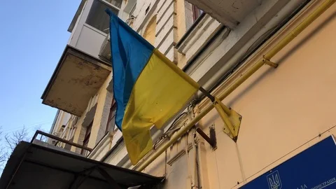 Flag of Ukraine fluttering in the wind Stock Footage 109801749