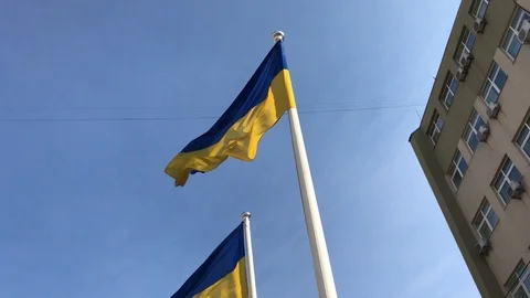 Flag of Ukraine fluttering in the wind Video stock 109802271