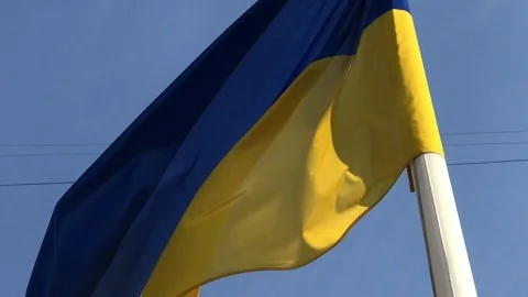 Flag of Ukraine fluttering in the wind Video stock 112518446